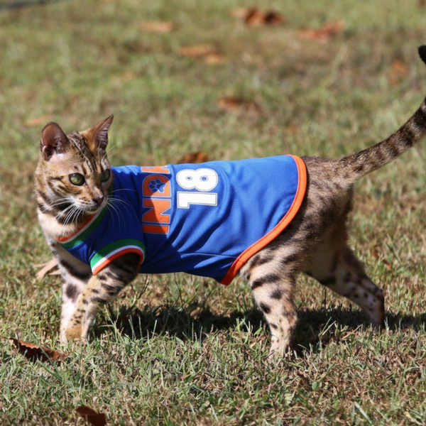 Pawsindia Round Neck Indian Cricket Jersey for Cats