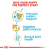 Royal Canin German Shepherd Puppy Dry Food Dogs- Dry Food Royal Canin