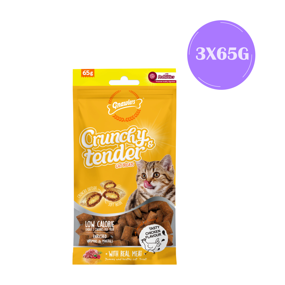 Gnawlers Crunchy Chicken Tender Cat Treats - Main Image