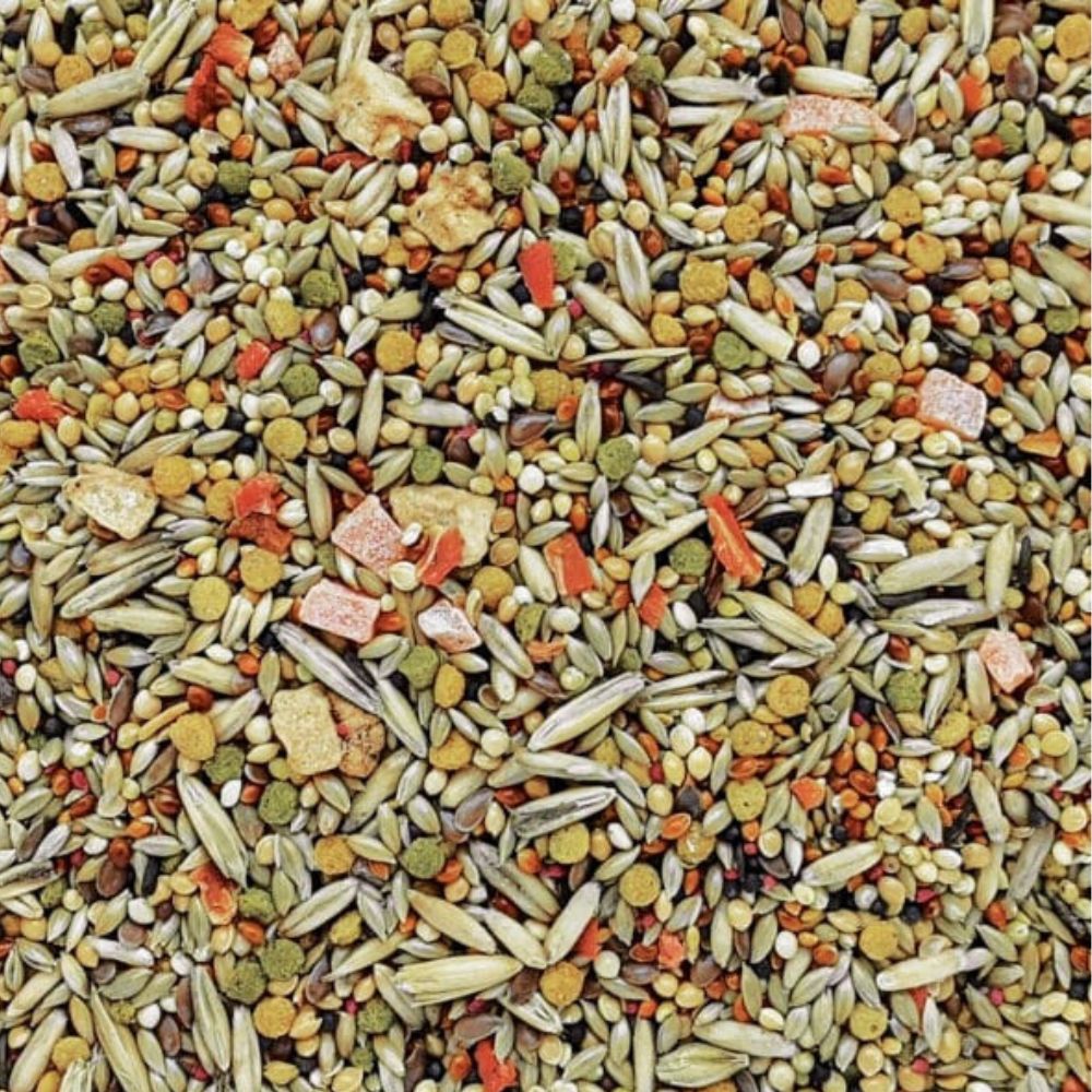 Hagen Tropican Gourmet Parakeet Seed Mix Bird Food Birds Hagen Tropican