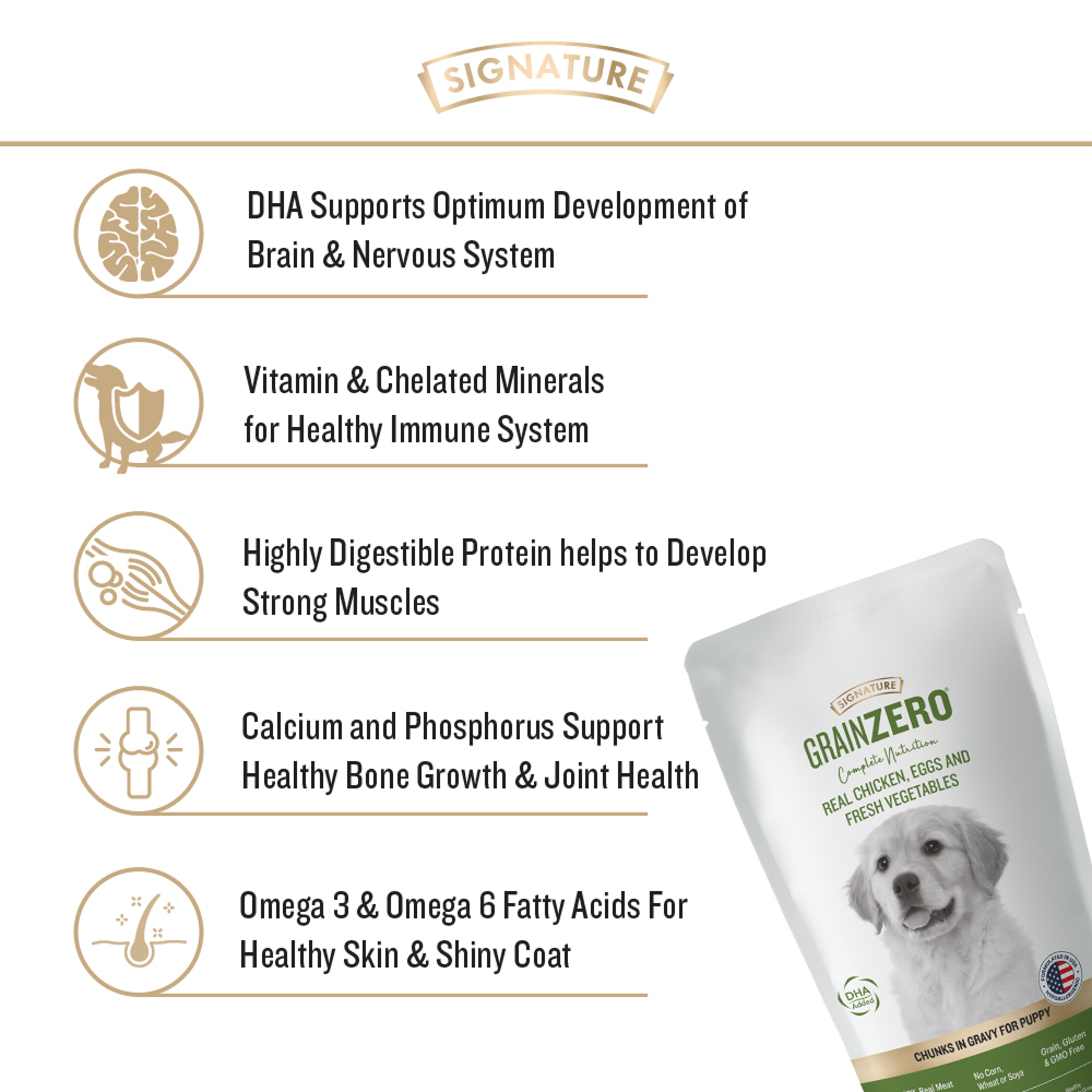 Signature Grain Zero Real Chicken Chunks Gravy Puppy Dog Wet Food Dogs-Wet Food Signature