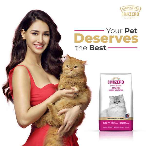 Signature Grain Zero Ocean Fish, Sardine and Mackerel Long Coat & Persian Adult Cat Dry Food