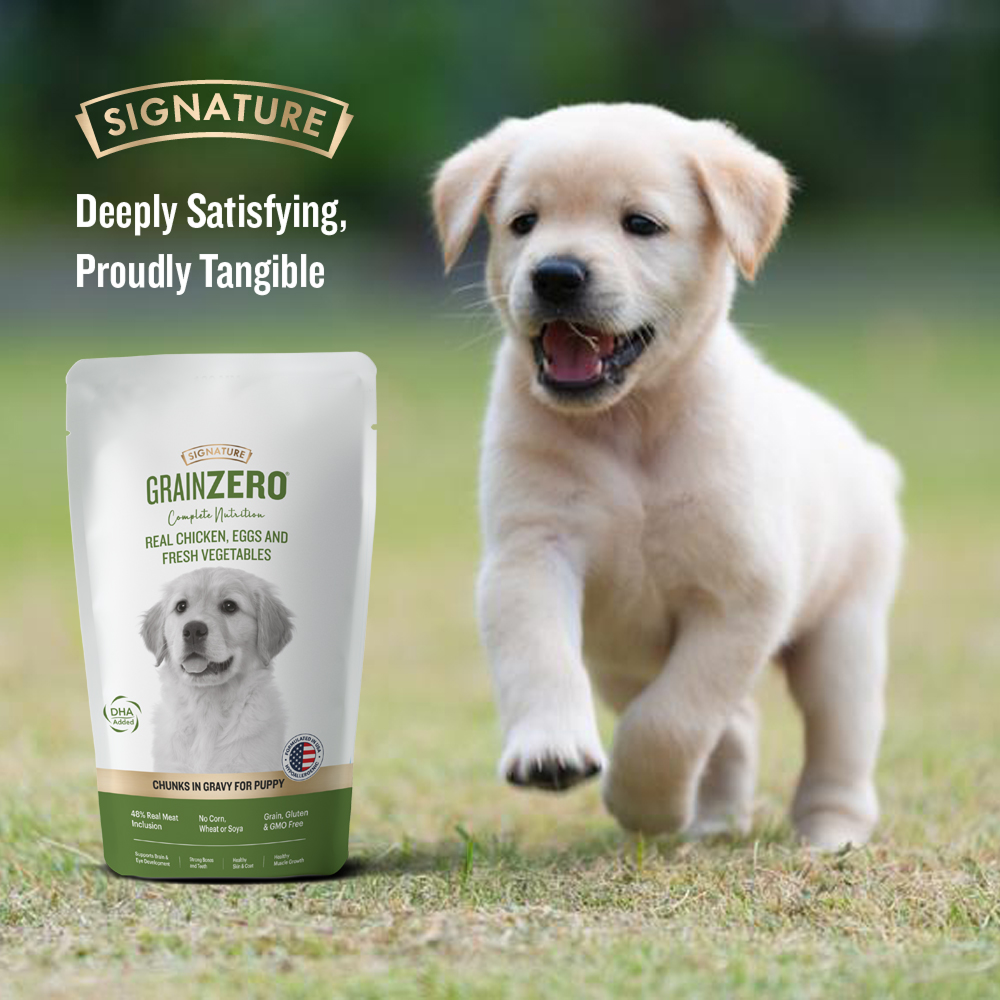 Signature Grain Zero Real Chicken Chunks Gravy Puppy Dog Wet Food Dogs-Wet Food Signature
