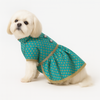 Pawsindia Traditional Royal Brocade Dress for Dogs (Aqua Green) Dogs-Clothing & Accessories Pawsindia Dropship M