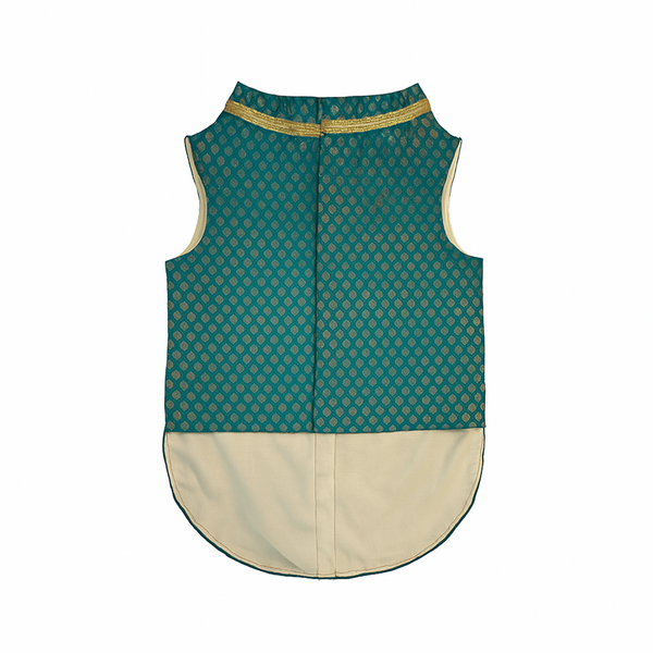 Pawsindia Traditional Royal Brocade Kurta for Cats (Aqua Green)