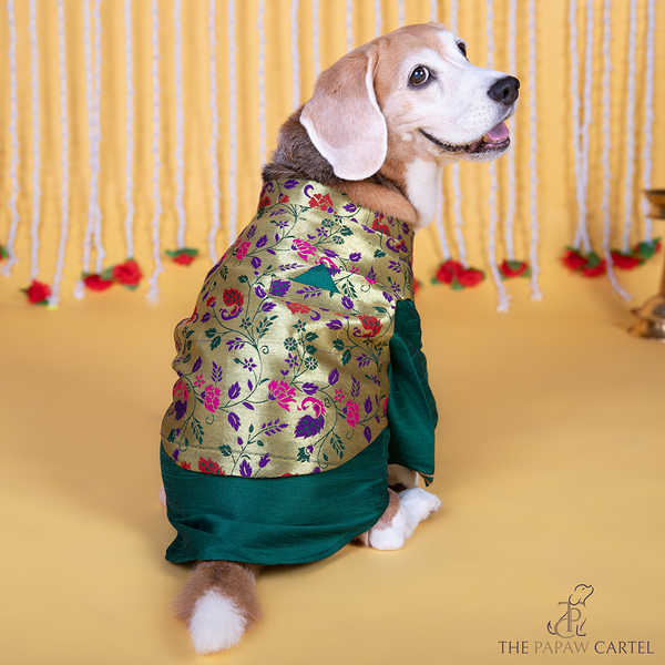 The Papaw Cartel Paithani Koti Kurta for Dogs & Cats (Green)