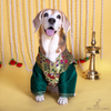 The Papaw Cartel Paithani Koti Kurta for Dogs & Cats (Green) Both-Clothing & Accessories The Papaw Cartel Dropship
