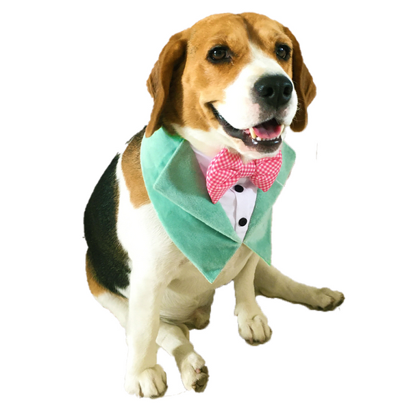 Dogobow Velvet Tuxedo Vest Bandana for Dogs (Green) (Get a Bow Free)
