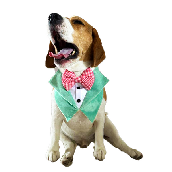 Dogobow Velvet Tuxedo Vest Bandana for Dogs (Green) (Get a Bow Free)
