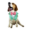 Dogobow Velvet Tuxedo Vest Bandana for Dogs (Green) (Get a Bow Free) Dogs-Clothing & Accessories Dogobow Dropship