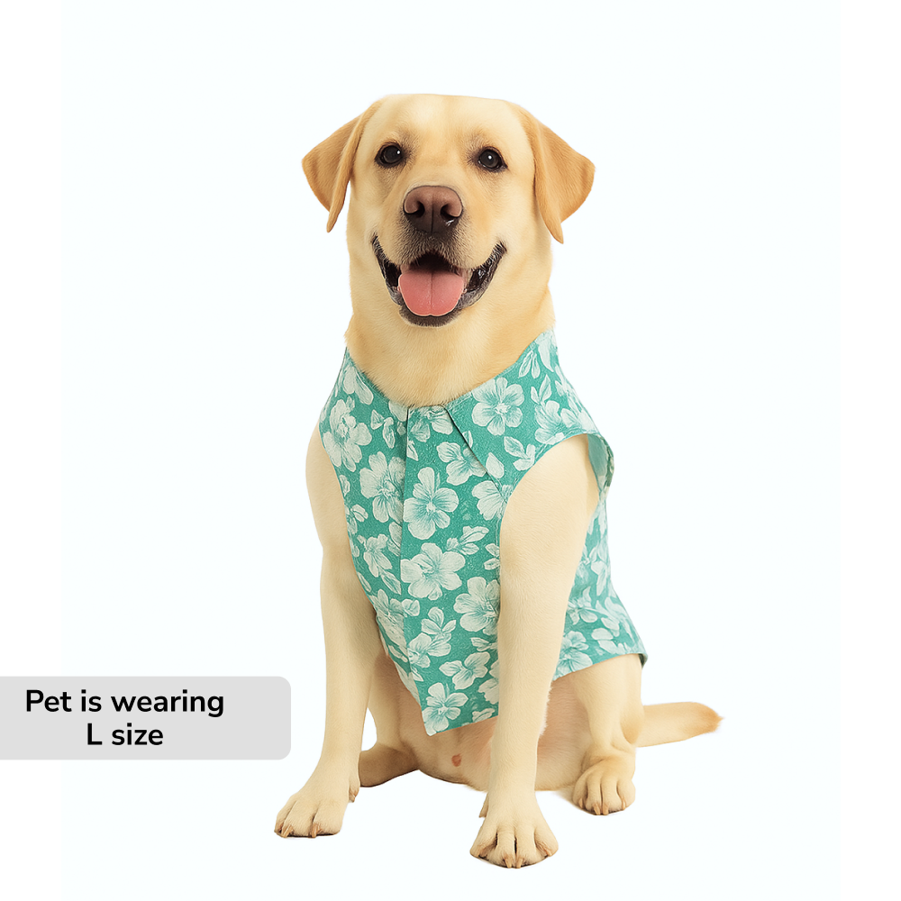 Skatrs Floral Grace Kurta for Dogs and Cats (Blue) Both-Clothing & Accessories Skatrs