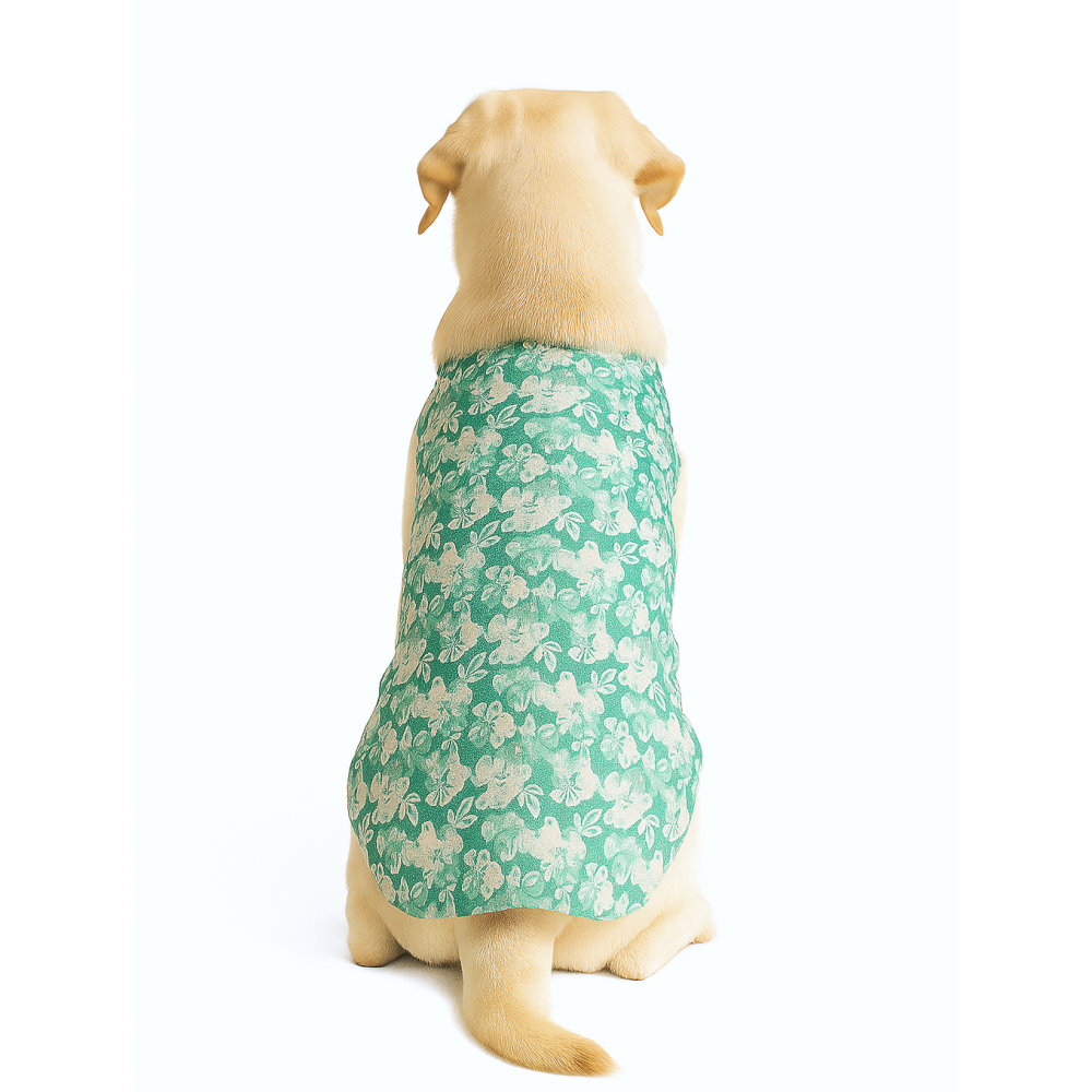 Skatrs Floral Grace Kurta for Dogs and Cats (Blue) Both-Clothing & Accessories Skatrs