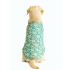 Skatrs Floral Grace Kurta for Dogs and Cats (Blue) Both-Clothing & Accessories Skatrs