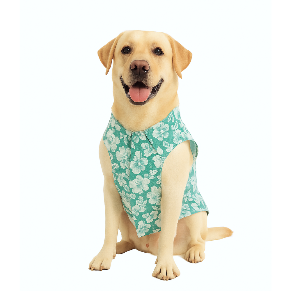 Skatrs Floral Grace Kurta for Dogs and Cats (Blue) Both-Clothing & Accessories Skatrs XS