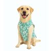 Skatrs Floral Grace Kurta for Dogs and Cats (Blue) Both-Clothing & Accessories Skatrs XS