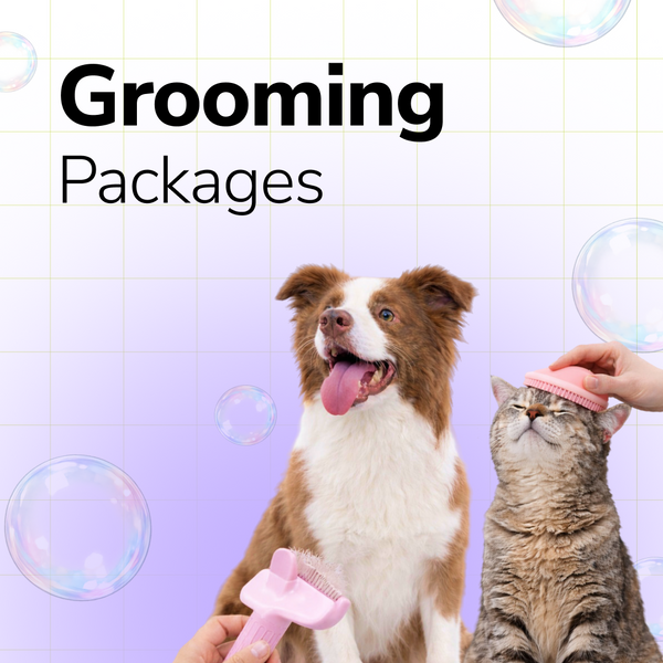 Extra 5% off on Grooming Packages