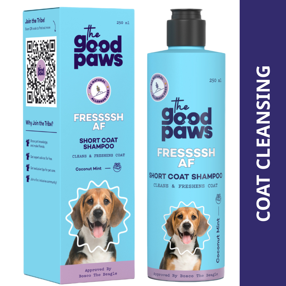 The Good Paws FRESSSSH AF Short Coat Shampoo for Dogs Dogs-Grooming Supplies The Good Paws Dropship 250mL