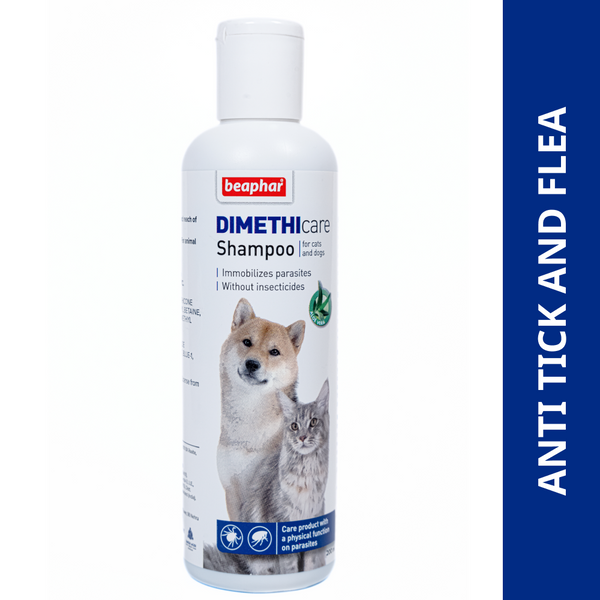 Shampoo For Dogs Can U Use Dog Flea Shampoo On Cats Flea Control