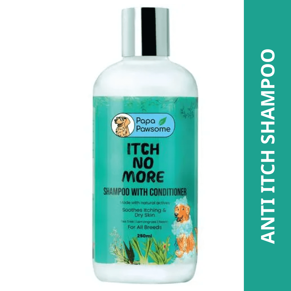 Papa Pawsome Itch No More Shampoo with Conditioner and Palm Brush for Dogs