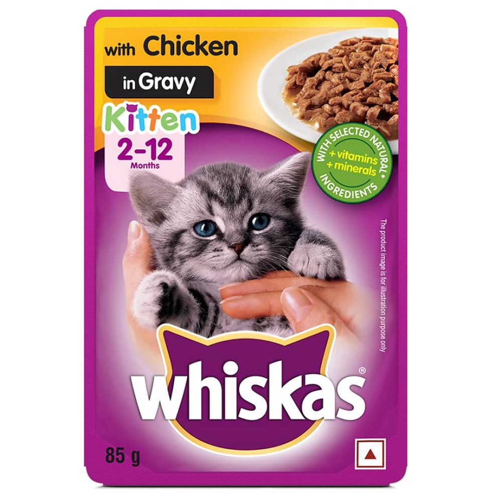 Whiskas Chicken in Gravy Meal Kitten Wet Food and Ocean Fish Kitten Dry Food Combo