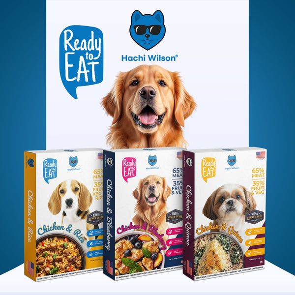Hachi Wilson Chicken and Rice Ready to Eat Fresh & Wet Food for Dogs & Puppies