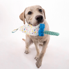 Barkbutler x Fofos Birthday Hat Plush Toy for Dogs Dogs-Toys Barkbutler