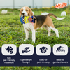 Nerf Dog Hasbro Squeak and Crinkle Plush Toy for Dogs (Yellow/Blue) Dogs-Toys Nerf
