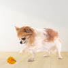Squeeezys Latex Hedgehog Squeaky Chew Toy for Dogs (Orange)