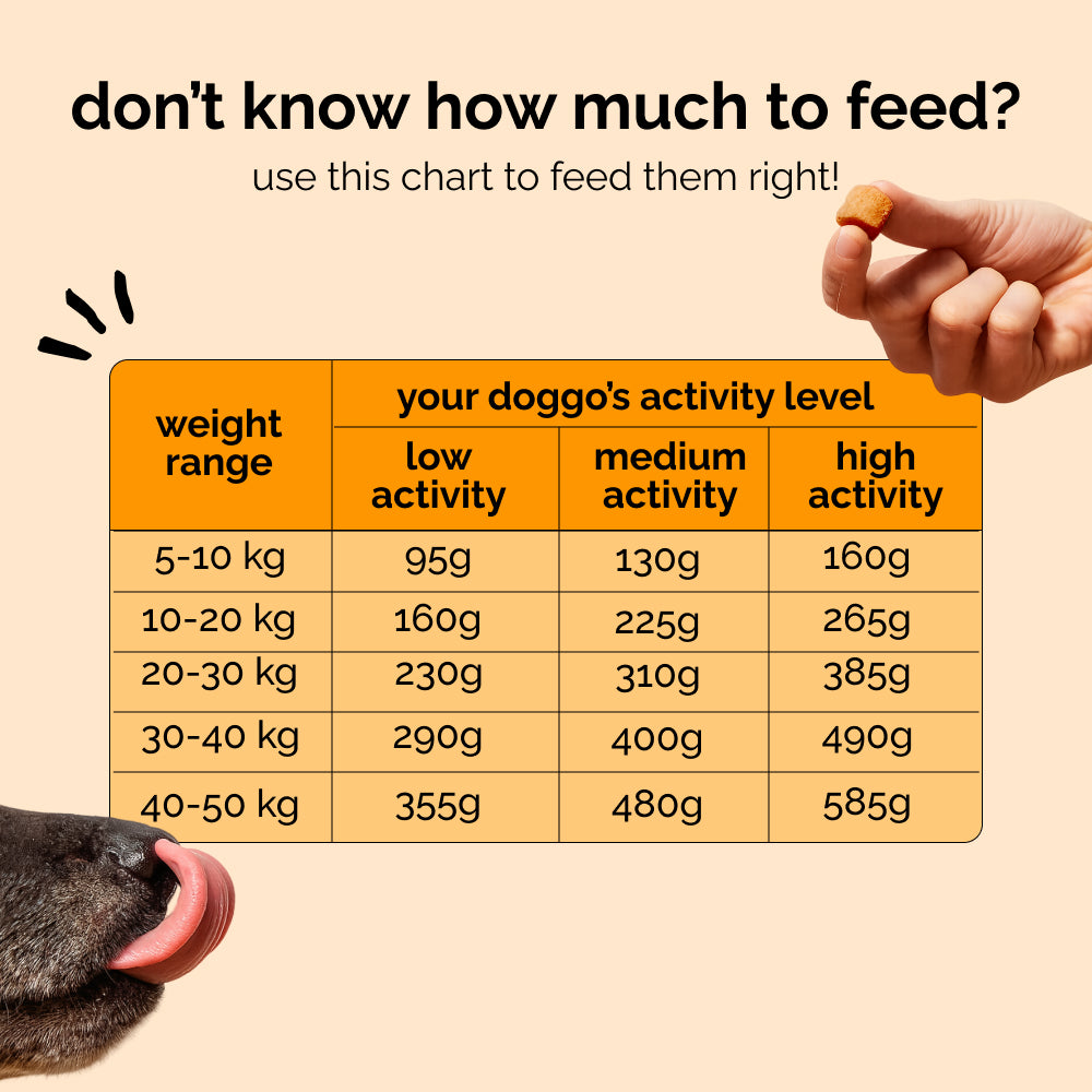 Henlo Baked Chicken & Rice Dog Dry Food | 100% human grade ingredients Dogs- Dry Food Henlo