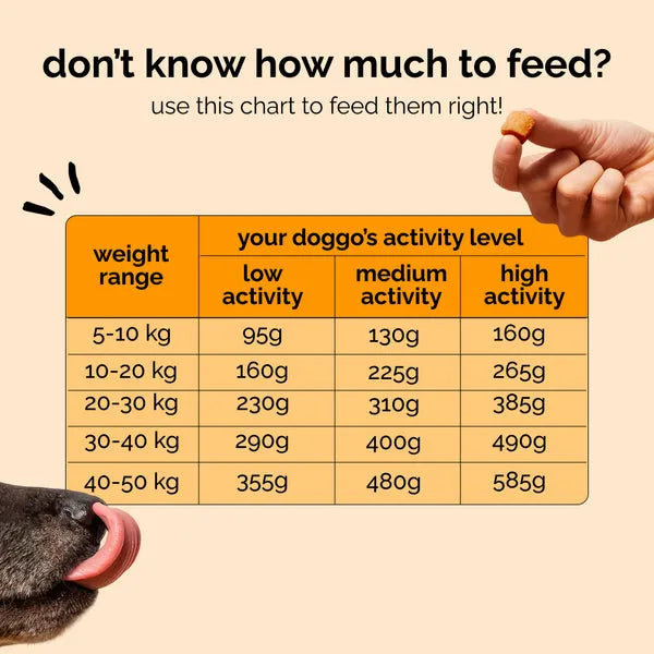Henlo Baked Chicken Adult and Puppy Dog Dry Food | 100% Human Grade Ingredients