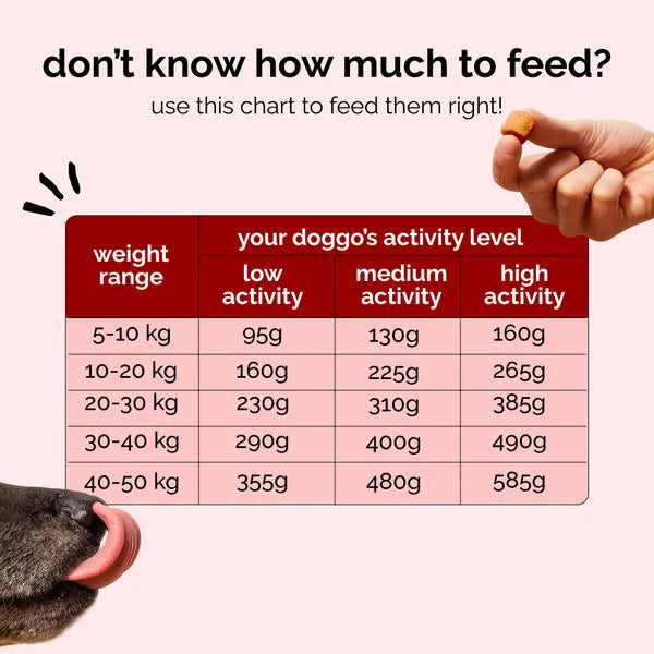 Henlo Baked Chicken Adult and Puppy Dog Dry Food | 100% Human Grade Ingredients Dogs- Dry Food Henlo