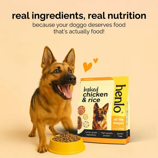 Henlo Baked Chicken Adult and Puppy Dog Dry Food | 100% Human Grade Ingredients