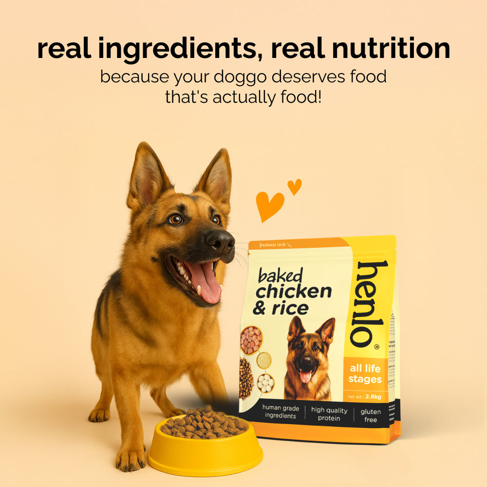Henlo Baked Chicken & Rice Dog Dry Food | 100% human grade ingredients Dogs- Dry Food Henlo