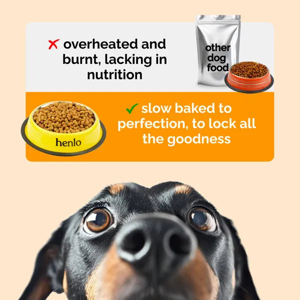 Henlo Baked Chicken Adult and Puppy Dog Dry Food | 100% Human Grade Ingredients