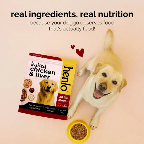 Henlo Baked Chicken Adult and Puppy Dog Dry Food | 100% Human Grade Ingredients