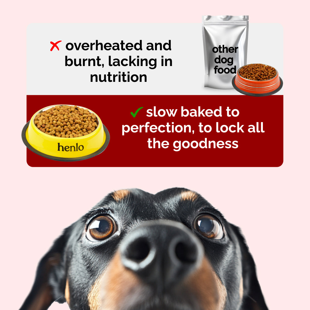 Henlo Baked Chicken & Liver and Chicken & Rice Dog Dry Food Combo Dogs- Dry Food Henlo
