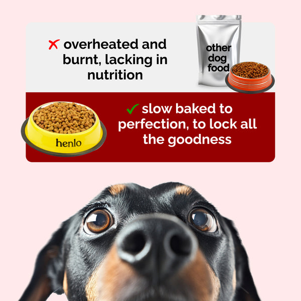 Henlo Baked Chicken & Liver Dog Dry Food | 100% human grade ingredients