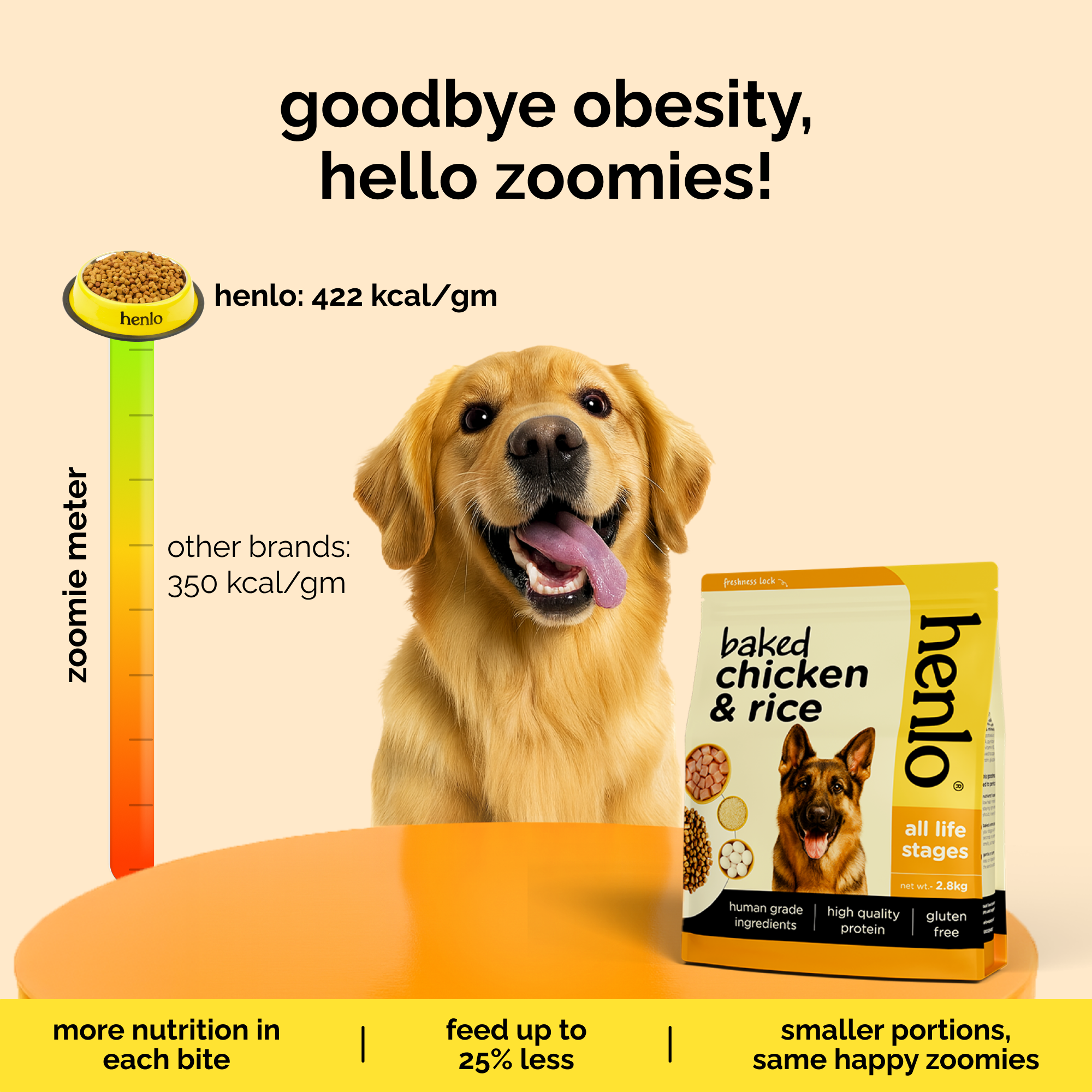 Henlo Baked Chicken & Liver and Chicken & Rice Dog Dry Food Combo Dogs- Dry Food Henlo