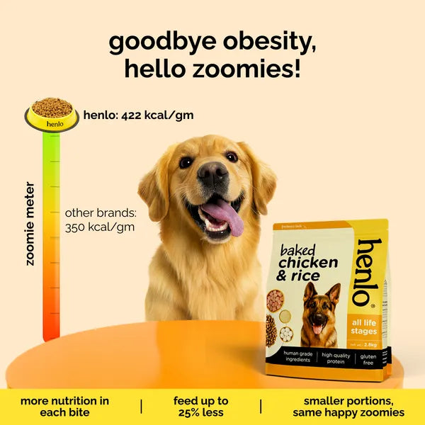 Henlo Baked Chicken Adult and Puppy Dog Dry Food | 100% Human Grade Ingredients