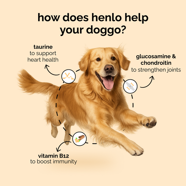 Henlo Baked Chicken & Rice Dog Dry Food | 100% human grade ingredients