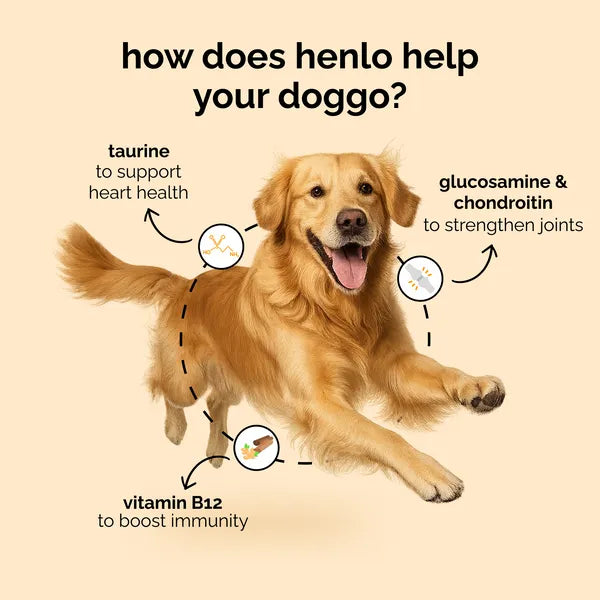 Henlo Baked Chicken Adult and Puppy Dog Dry Food | 100% Human Grade Ingredients