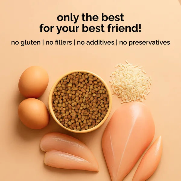 Henlo Baked Chicken Adult and Puppy Dog Dry Food | 100% Human Grade Ingredients Dogs- Dry Food Henlo