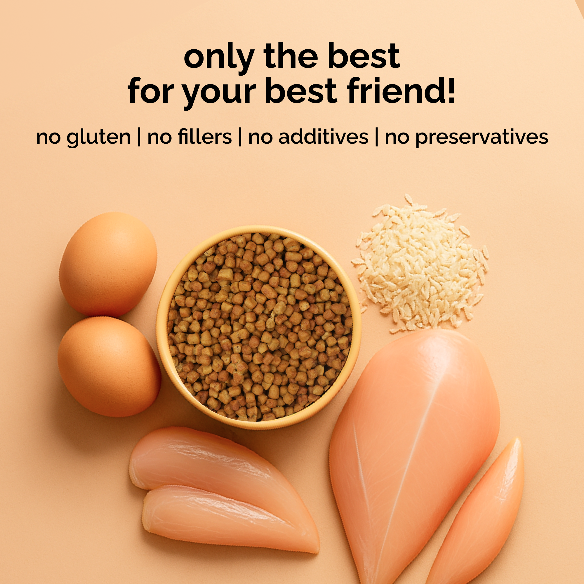 Henlo Baked Chicken & Liver and Chicken & Rice Dog Dry Food Combo Dogs- Dry Food Henlo