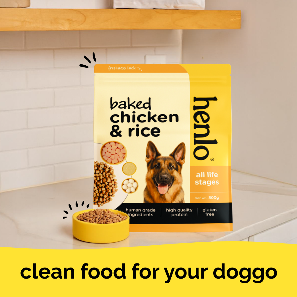 Henlo Baked Chicken Adult and Puppy Dog Dry Food | 100% Human Grade Ingredients Dogs- Dry Food Henlo Chicken & Rice - 800g