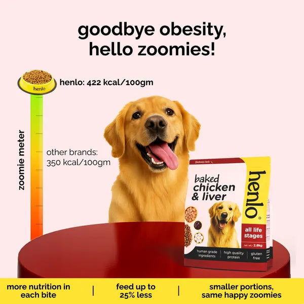 Henlo Baked Chicken Adult and Puppy Dog Dry Food | 100% Human Grade Ingredients Dogs- Dry Food Henlo