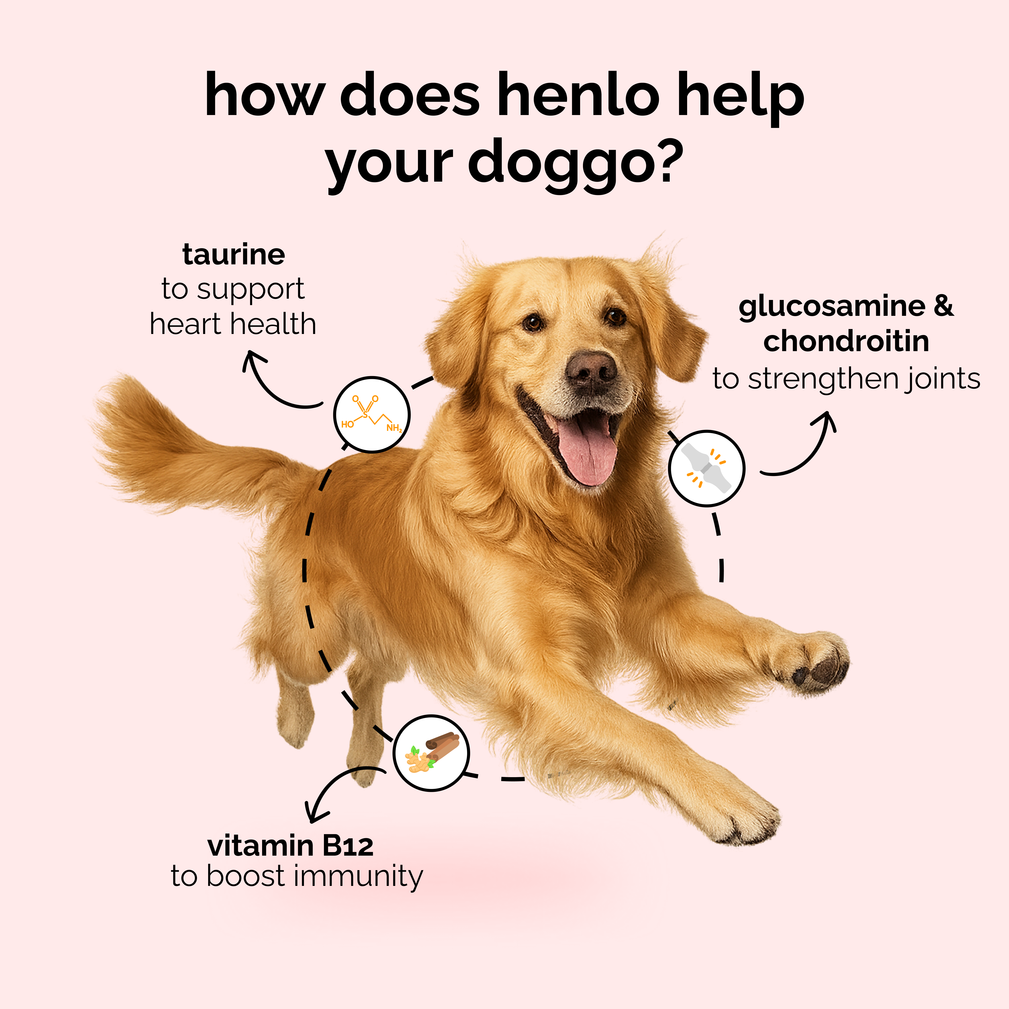 Henlo Baked Chicken & Liver Dog Dry Food | 100% human grade ingredients Dogs- Dry Food Henlo