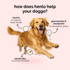 Henlo Baked Chicken & Liver Dog Dry Food | 100% human grade ingredients Dogs- Dry Food Henlo