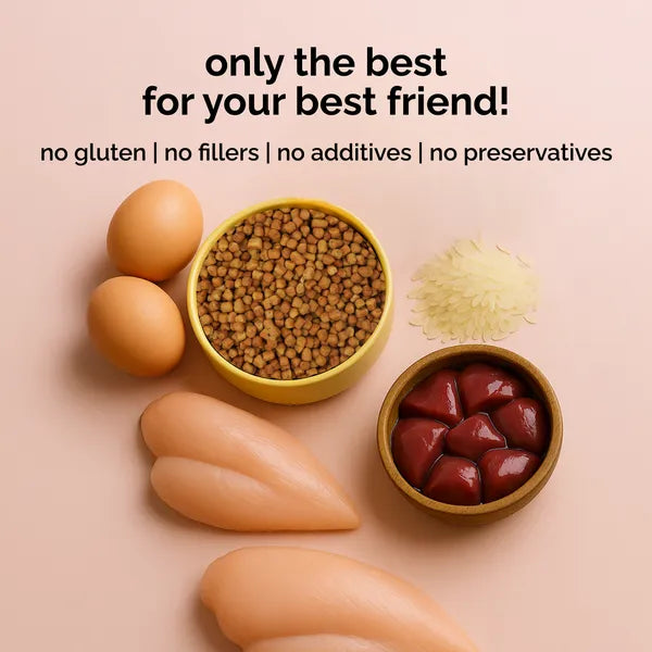 Henlo Baked Chicken Adult and Puppy Dog Dry Food | 100% Human Grade Ingredients Dogs- Dry Food Henlo