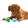 Zippy Paws Squeakie Pads Hippo & Aligator Plush Toy for Dogs Dogs-Toys Zippy Paws