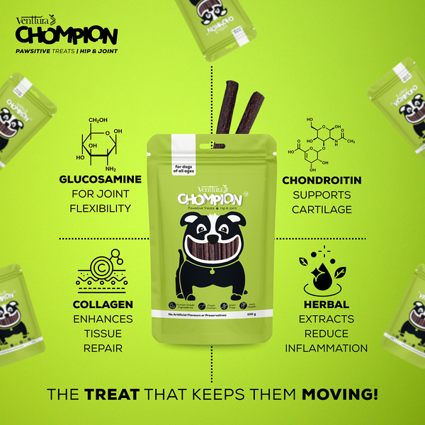 Venttura Chompion Pawsitive Hip & Joint Dogs Treats